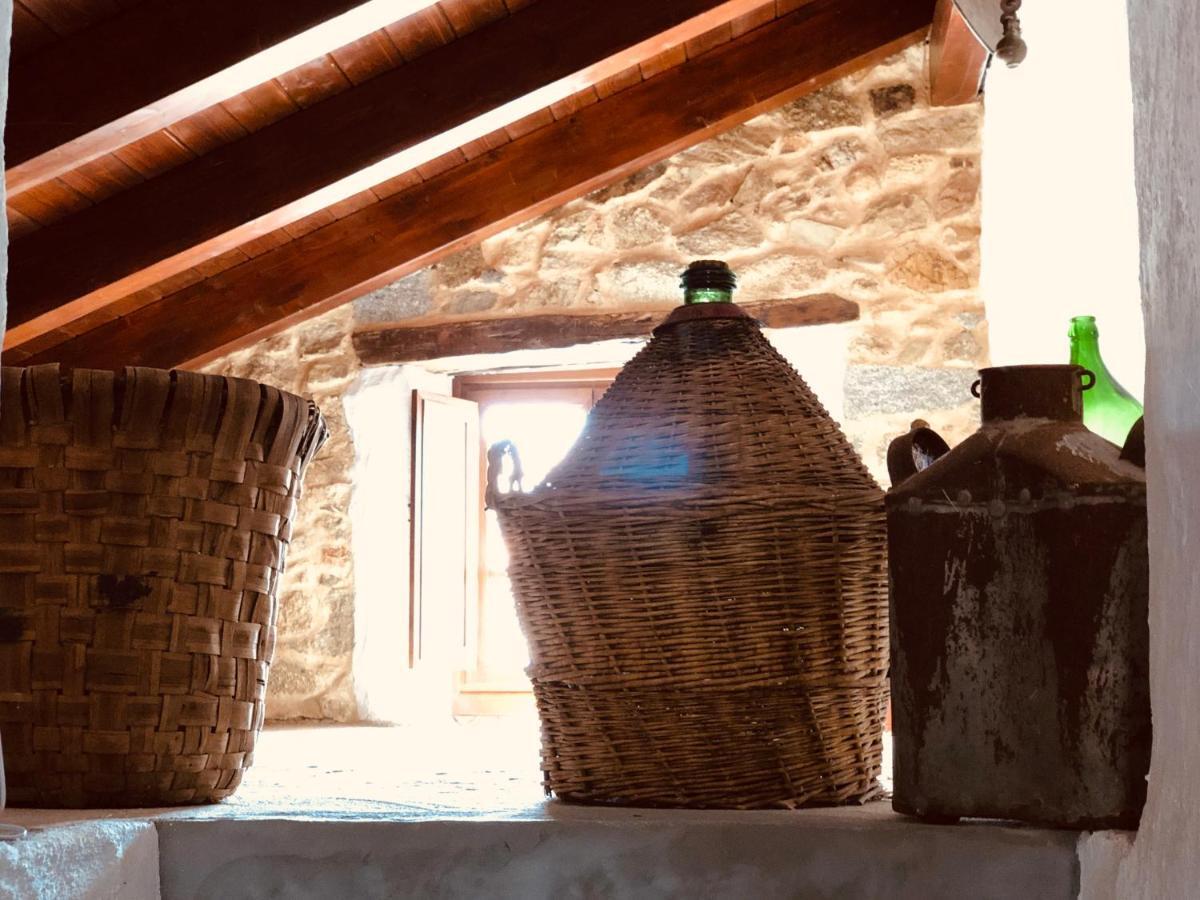 Casa Masini Bed & Breakfast Fonni Bagian luar foto